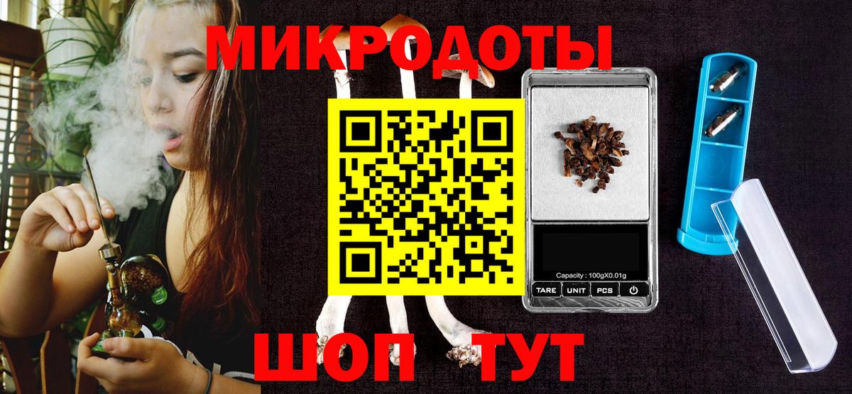 Галлюциногенные грибы Psilocybine cubensis Нерюнгри