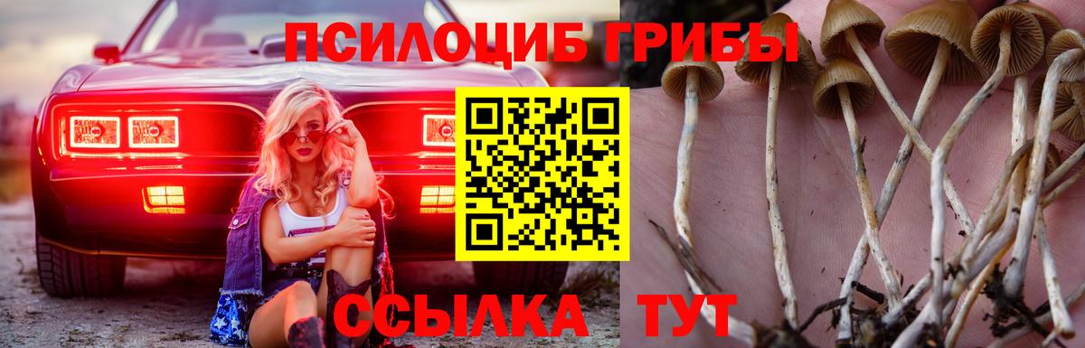 купить  сайты  Галлюциногенные грибы Magic Shrooms  Вход с VPN  Псилоцибиновые грибы GOLDEN TEACHER  Нерюнгри 